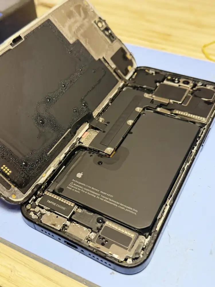 How to Fix Your Water Damaged Phone
